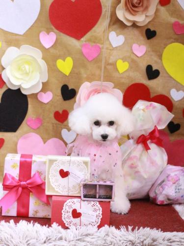 20230215ゆわちゃん